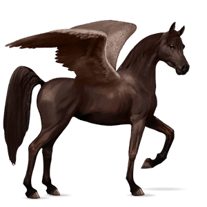 rijpaard-pegasus arabier lever kastanje
