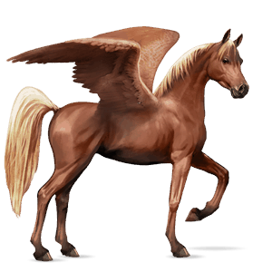 rijpaard-pegasus arabier zweetvos kastanje 