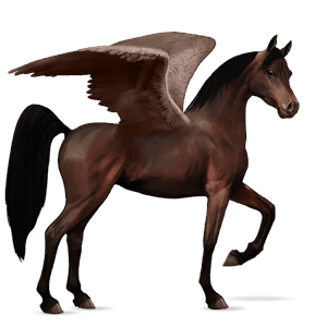 rijpaard-pegasus arabier donkerbruin