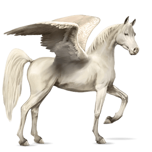rijpaard-pegasus zwart gevlekte deken 
