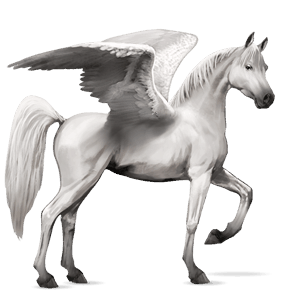 rijpaard-pegasus lusitano gestippeld grijs