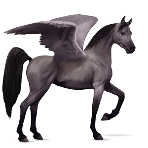 rijpaard-pegasus arabier lichtgrijs