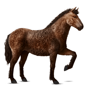 rijpaard lusitano bruin