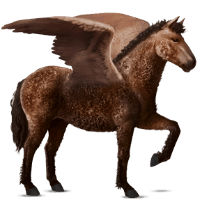 rijpaard-pegasus kwpn zwart