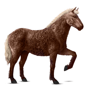 rijpaard lusitano kastanje
