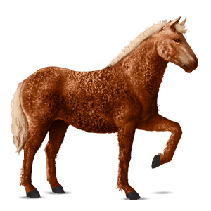 rijpaard lusitano bruin