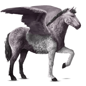 rijpaard-pegasus lusitano wildkleur
