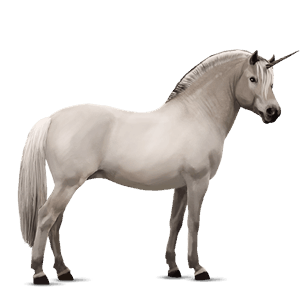 pony-eenhoorn ulsblakk