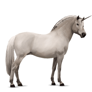 pony-eenhoorn kerry bog palomino