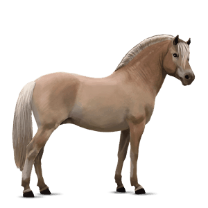 pony welsh roodbruin