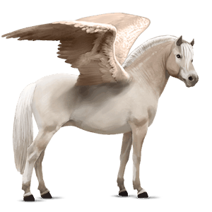 pony-pegasus fjord brunblakk