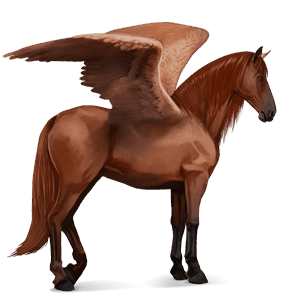 rijpaard-pegasus lusitano bruin