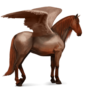 rijpaard-pegasus bruin