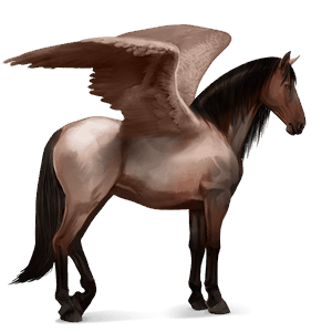 rijpaard-pegasus bruin