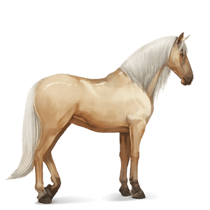 rijpaard lusitano cremello