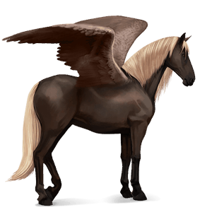 rijpaard-pegasus ierse hunter lichtgrijs