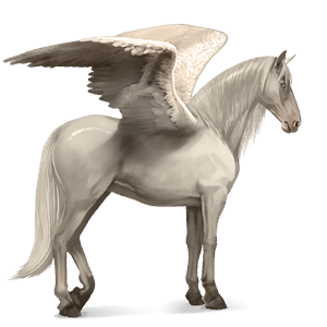 rijpaard-pegasus lusitano lichtgrijs