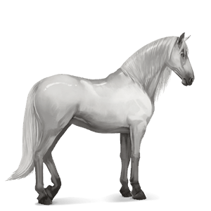 rijpaard lusitano lichtgrijs