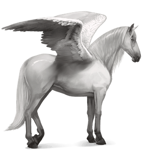 rijpaard-pegasus mangalarga marchador lichtgrijs