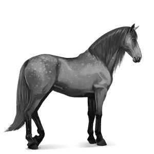 rijpaard lusitano gestippeld grijs