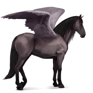 rijpaard-pegasus lichtgrijs