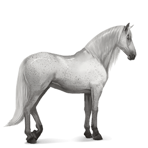 rijpaard lusitano gestippeld grijs