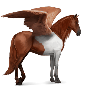 rijpaard-pegasus lusitano gestippeld grijs