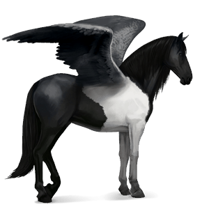 rijpaard-pegasus lusitano palomino