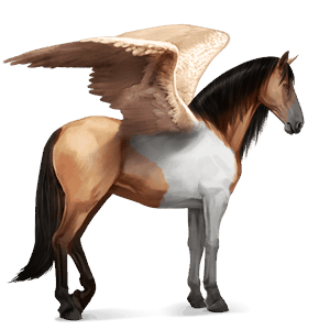 rijpaard-pegasus lusitano donkerbruin