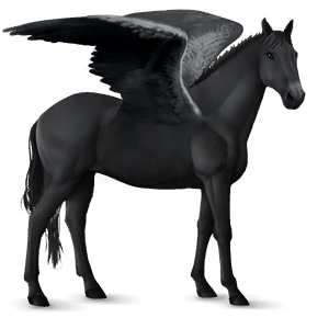 rijpaard-pegasus lichtgrijs
