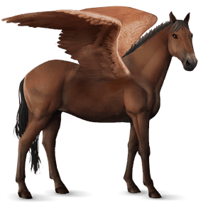 pony-pegasus shetlander bruin