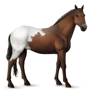 rijpaard lusitano kastanje