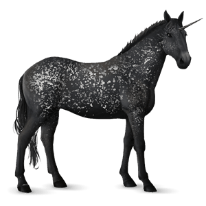 rijpaard-eenhoorn quarter horse zwart