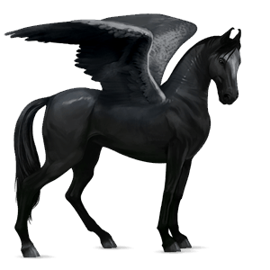 rijpaard-pegasus bruin