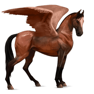 rijpaard-pegasus marwari roodbruin