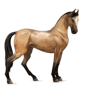 rijpaard lusitano wildkleur