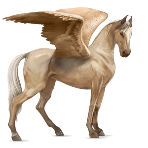 rijpaard-pegasus lusitano palomino