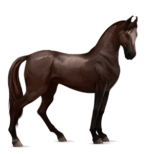 rijpaard lusitano lever kastanje