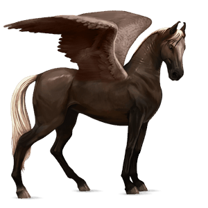 rijpaard-pegasus hannoveraan donkerbruin
