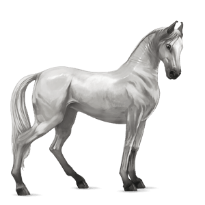 rijpaard lusitano gestippeld grijs
