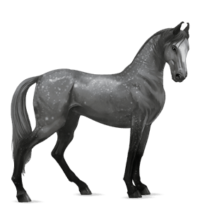 rijpaard lusitano gestippeld grijs