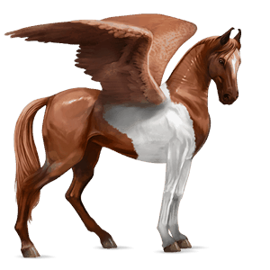 rijpaard-pegasus tinker kastanje tobiano
