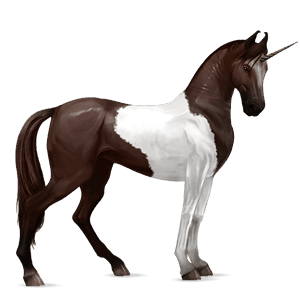 rijpaard-eenhoorn zwarte tobiano