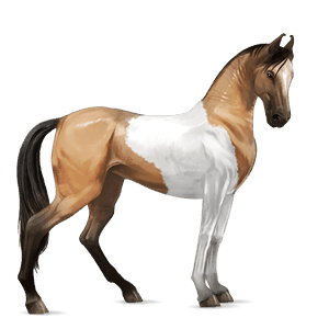 rijpaard lusitano lichtgrijs