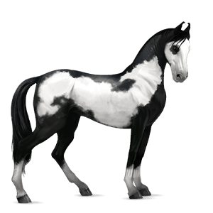 rijpaard tennessee walker lever kastanje