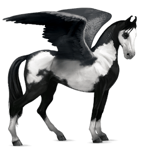 rijpaard-pegasus bruin