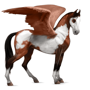 rijpaard-pegasus shagya arabier gestippeld grijs