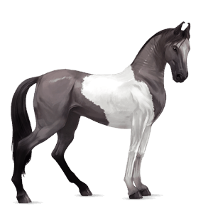 rijpaard lusitano kastanje