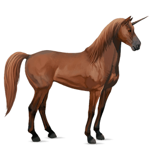 rijpaard-eenhoorn mustang kastanje