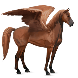 rijpaard-pegasus lusitano kastanje